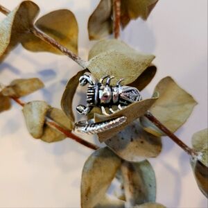 ♏️Vintage 60s Scorpio Silver Plated Ring